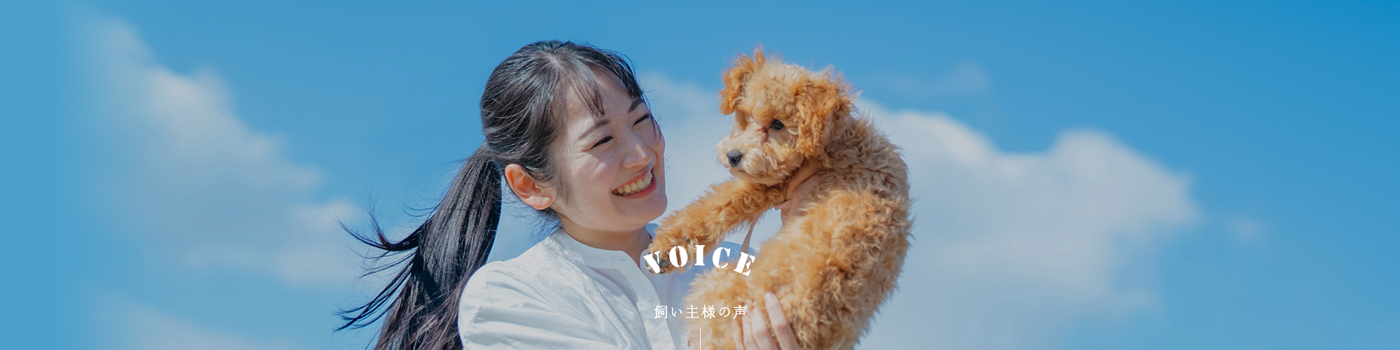 飼い主様の声