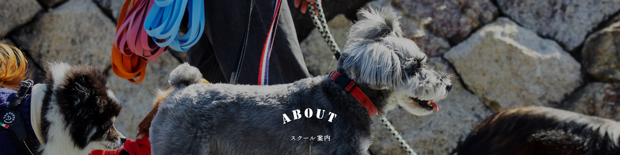 スクール案内